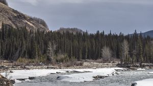 Preview wallpaper forest, trees, lake, ice, rocks, nature
