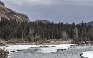 Preview wallpaper forest, trees, lake, ice, rocks, nature