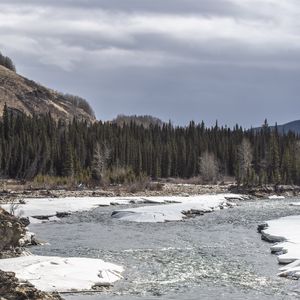 Preview wallpaper forest, trees, lake, ice, rocks, nature