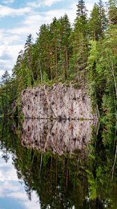 Preview wallpaper forest, trees, lake, reflection, nature, landscape