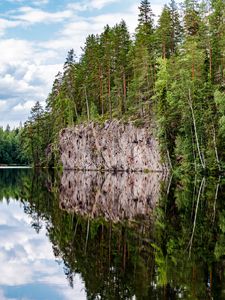 Preview wallpaper forest, trees, lake, reflection, nature, landscape