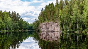 Preview wallpaper forest, trees, lake, reflection, nature, landscape