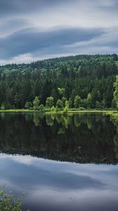 Preview wallpaper forest, trees, lake, reflection, nature