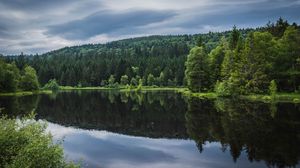 Preview wallpaper forest, trees, lake, reflection, nature