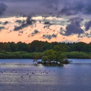 Preview wallpaper forest, trees, lake, ducks, nature