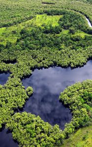 Preview wallpaper forest, trees, lake, nature, landscape, aerial view