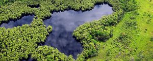 Preview wallpaper forest, trees, lake, nature, landscape, aerial view