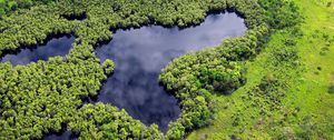 Preview wallpaper forest, trees, lake, nature, landscape, aerial view