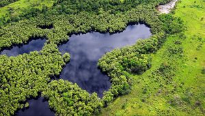 Preview wallpaper forest, trees, lake, nature, landscape, aerial view