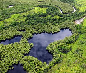 Preview wallpaper forest, trees, lake, nature, landscape, aerial view