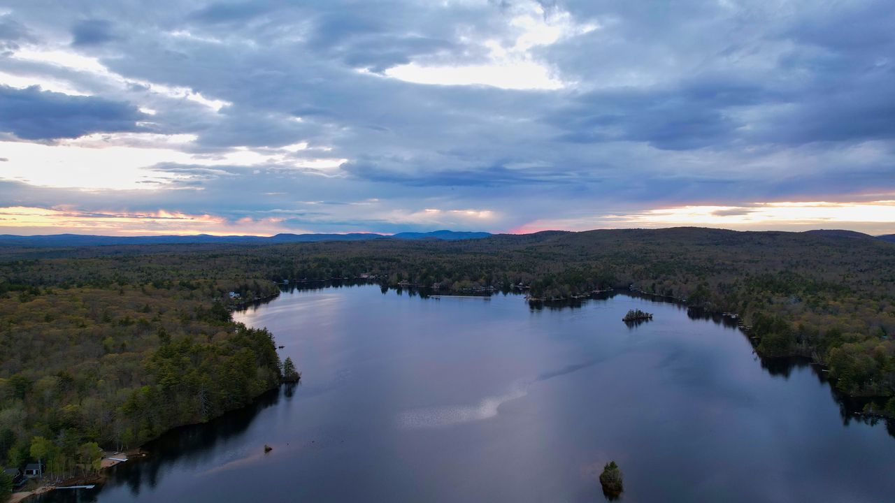 Wallpaper forest, trees, lake, landscape, aerial view