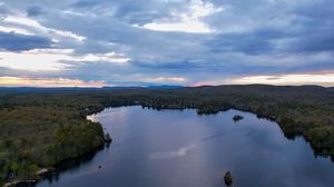 Preview wallpaper forest, trees, lake, landscape, aerial view