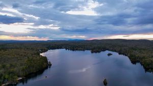 Preview wallpaper forest, trees, lake, landscape, aerial view