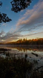 Preview wallpaper forest, trees, lake, nature, landscape, twilight