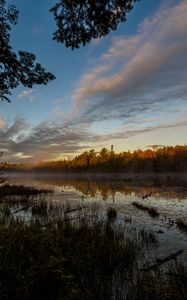 Preview wallpaper forest, trees, lake, nature, landscape, twilight