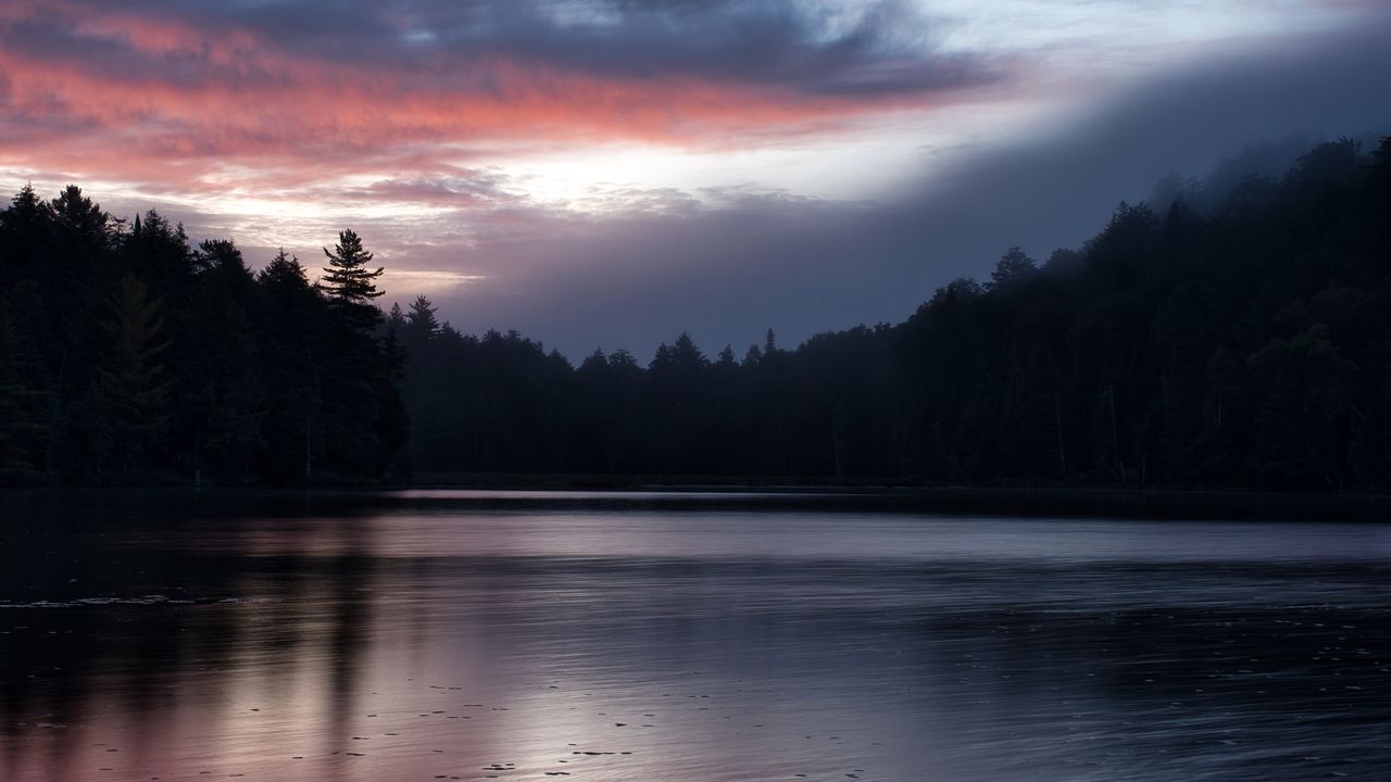 Wallpaper forest, trees, lake, twilight, dark