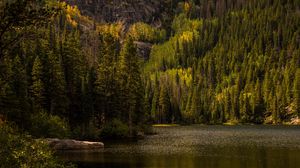 Preview wallpaper forest, trees, lake, nature, landscape, green