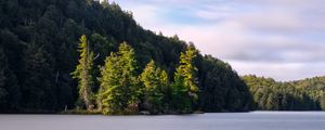 Preview wallpaper forest, trees, lake, island, landscape