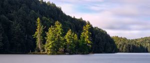 Preview wallpaper forest, trees, lake, island, landscape