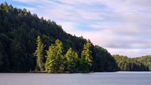 Preview wallpaper forest, trees, lake, island, landscape