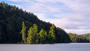 Preview wallpaper forest, trees, lake, island, landscape