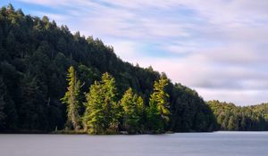 Preview wallpaper forest, trees, lake, island, landscape