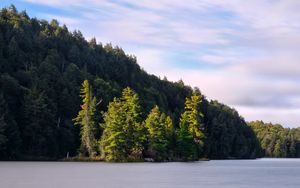 Preview wallpaper forest, trees, lake, island, landscape