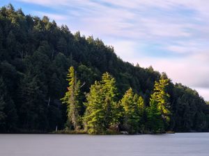 Preview wallpaper forest, trees, lake, island, landscape