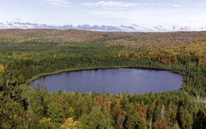 Preview wallpaper forest, trees, lake, aerial view, autumn, landscape