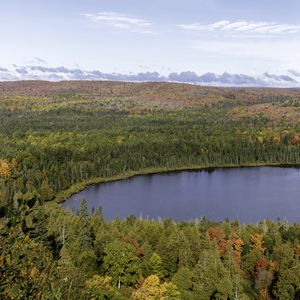 Preview wallpaper forest, trees, lake, aerial view, autumn, landscape