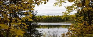 Preview wallpaper forest, trees, lake, autumn, landscape
