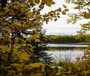 Preview wallpaper forest, trees, lake, autumn, landscape