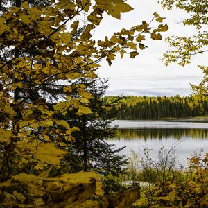 Preview wallpaper forest, trees, lake, autumn, landscape