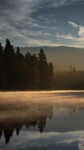 Preview wallpaper forest, trees, lake, sunset, light, landscape, nature