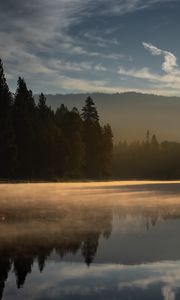 Preview wallpaper forest, trees, lake, sunset, light, landscape, nature