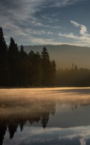 Preview wallpaper forest, trees, lake, sunset, light, landscape, nature