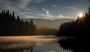 Preview wallpaper forest, trees, lake, sunset, light, landscape, nature