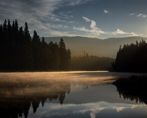 Preview wallpaper forest, trees, lake, sunset, light, landscape, nature