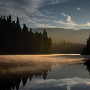 Preview wallpaper forest, trees, lake, sunset, light, landscape, nature