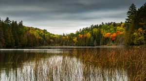 Preview wallpaper forest, trees, lake, landscape, autumn