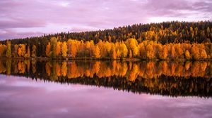 Preview wallpaper forest, trees, lake, reflection, autumn, landscape