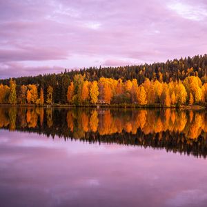 Preview wallpaper forest, trees, lake, reflection, autumn, landscape