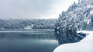 Preview wallpaper forest, trees, lake, snow, winter, nature