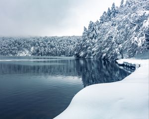 Preview wallpaper forest, trees, lake, snow, winter, nature