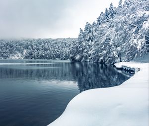 Preview wallpaper forest, trees, lake, snow, winter, nature