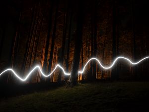 Preview wallpaper forest, trees, long exposure, neon, night