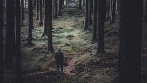 Preview wallpaper forest, trees, man, coniferous, trunks