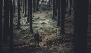 Preview wallpaper forest, trees, man, coniferous, trunks