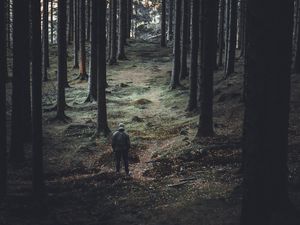 Preview wallpaper forest, trees, man, coniferous, trunks