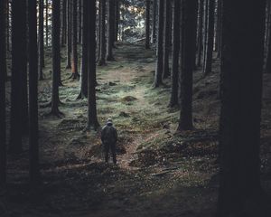 Preview wallpaper forest, trees, man, coniferous, trunks